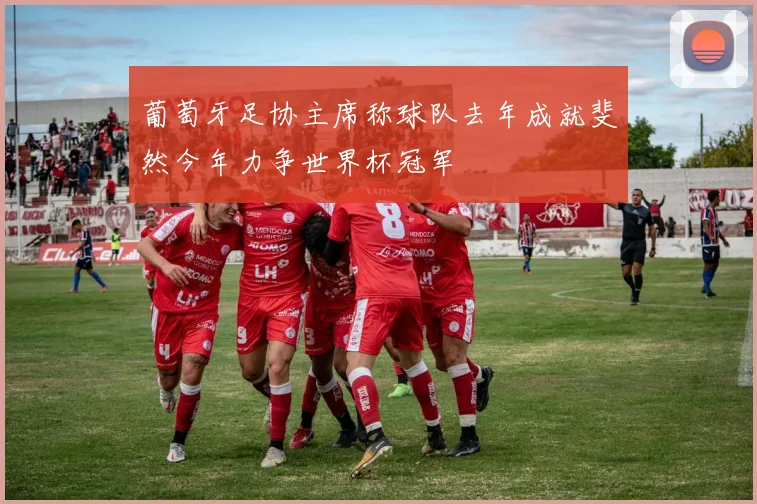 葡萄牙足协主席称球队去年成就斐然今年力争世界杯冠军