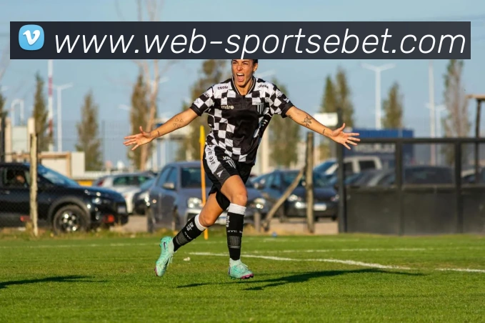 易倍体育平台生态图